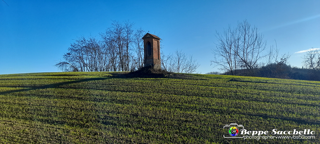20230110_151611 - Dalla terra... il grano.jpg